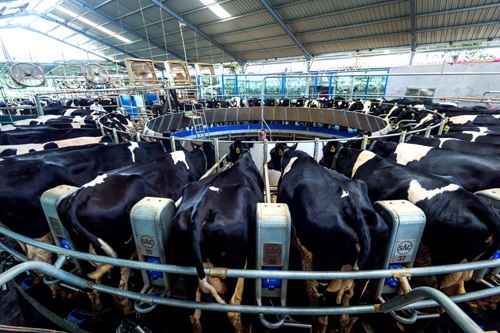 long8-龙八(中国)唯一官方网站