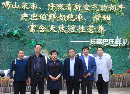 long8-龙八(中国)唯一官方网站