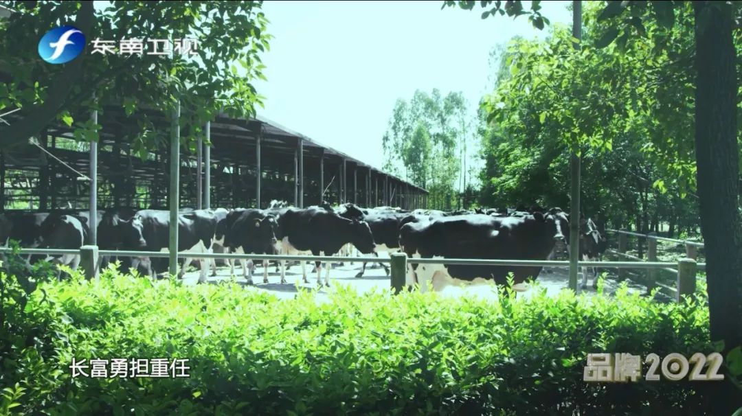 long8-龙八(中国)唯一官方网站